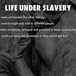 The free soilers condemned slavery because