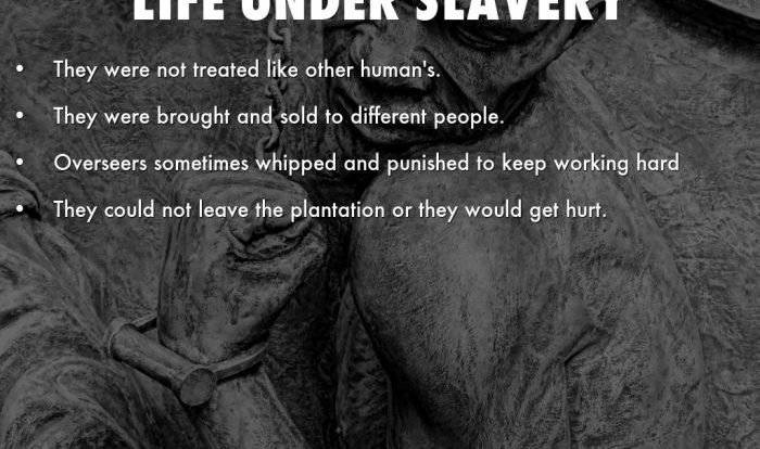 The free soilers condemned slavery because