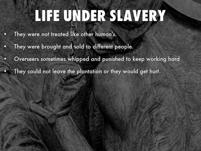 The free soilers condemned slavery because