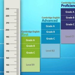 Vocabulario a level 3 pp 238 242 answers