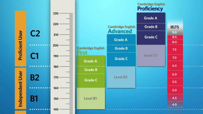 Vocabulario a level 3 pp 238 242 answers