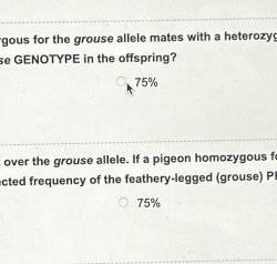 Suppose a pigeon that is homozygous for the grouse allele