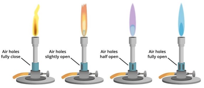 Pets internal rise celsius