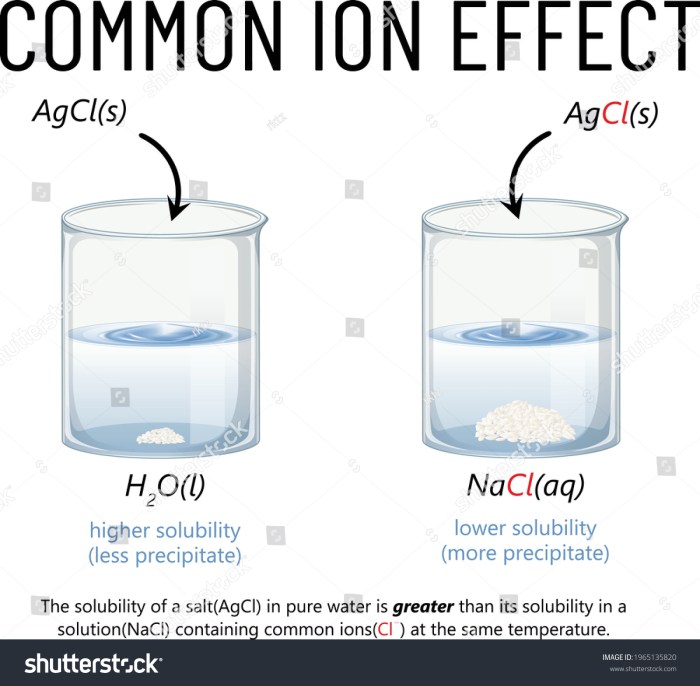 Common ion effect on solubility pogil answers